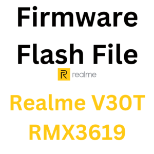 Realme V30T RMX3619